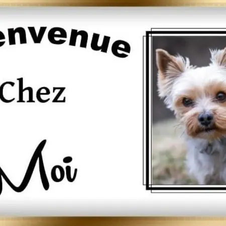 2 Pieces Cocooning Appartement Le Havre