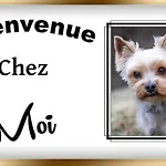 2 Pieces Cocooning Appartement Le Havre