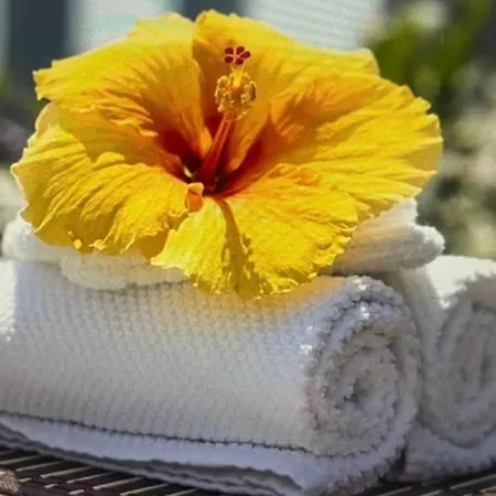 2 Pièces Cocooning Le Havre