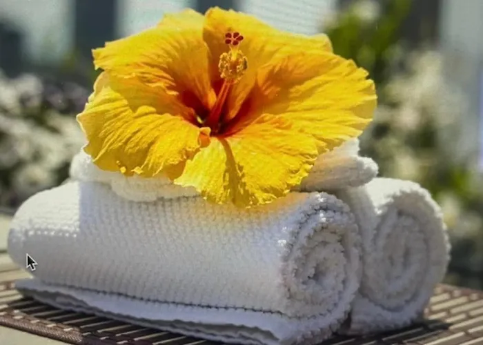 2 Pieces Cocooning ル・アーヴル